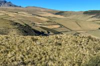 ECUADOR LANDSCAPE