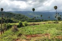 Dominican Republic  LANDSCAPE