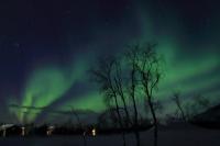 Northern Lights (Aurora borealis)