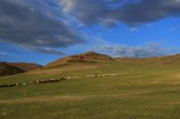 Mongolia - landscape