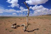 Gobi Desert