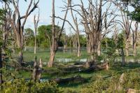 Botswana - landscape