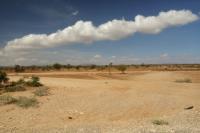 Tanzania - LANDSCAPE