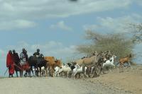 Maasai people