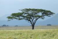 Tanzania - LANDSCAPE