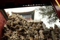 The Forbidden city