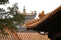 The Forbidden city