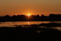 Botswana - landscape