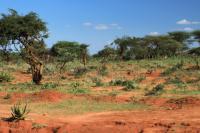 ETHIOPIA-landscape