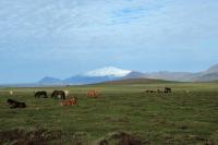 Iceland - landscape