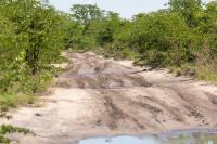 Botswana - landscape