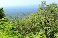 ETHIOPIA-landscape