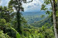 ECUADOR LANDSCAPE