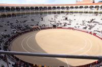 Bullfighting