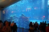 Dubai aquarium