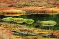 Patagonia -landscape