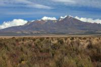 Landscape North Island