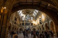 London - Natural History Museum UK