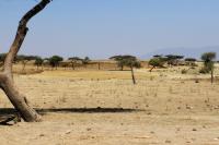 ETHIOPIA-landscape