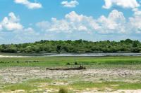 Botswana - landscape