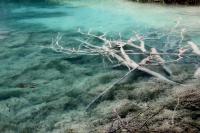 Plitvice lakes