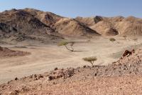 Egypt LANDSCAPE