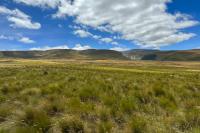 ECUADOR LANDSCAPE