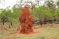 Australia - landscape