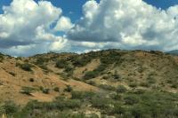 Dominican Republic  LANDSCAPE