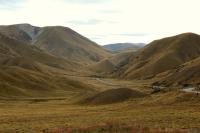 Landscape South Island