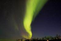 Northern Lights (Aurora borealis)