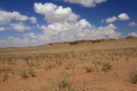 Gobi Desert