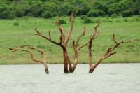 South Africa-landscape