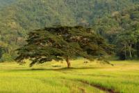 Costa Rica landscape