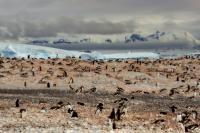 Antarctica view