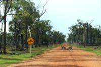 Australia - landscape