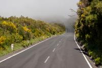 Madeira- landscape