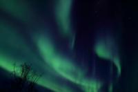 Northern Lights (Aurora borealis)