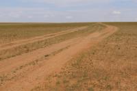 Gobi Desert