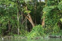 Costa Rica landscape