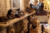 Vatican Museums (museum)