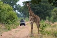 Botswana - landscape