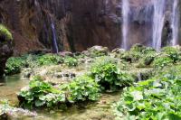 Plitvice lakes