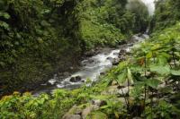 Costa Rica landscape