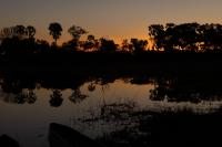 Botswana - landscape