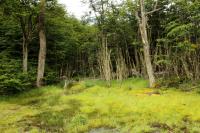 Patagonia -landscape