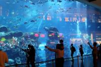 Dubai aquarium