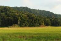 Costa Rica landscape