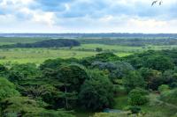 Dominican Republic  LANDSCAPE