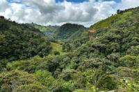 ECUADOR LANDSCAPE